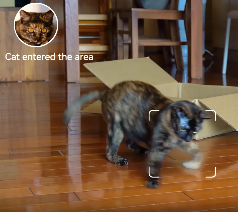 Pet Detection
